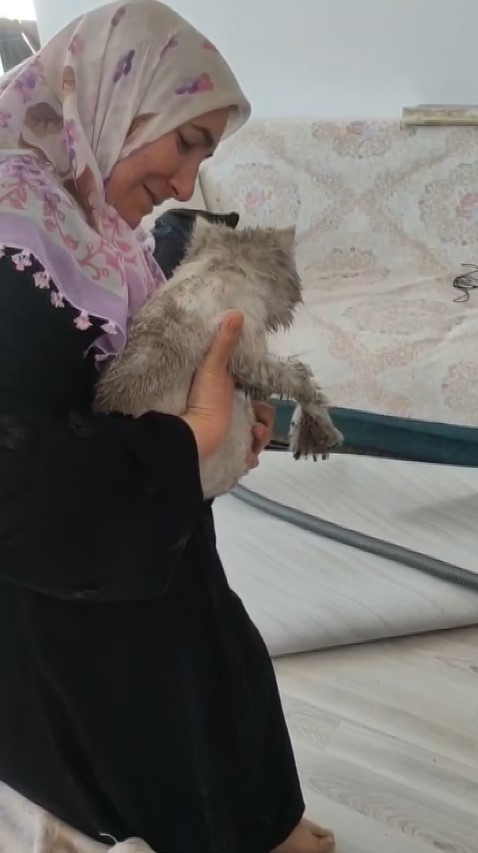 bacada-mahsur-kalan-kediyi-itfaiye-ekipleri-kurtardi