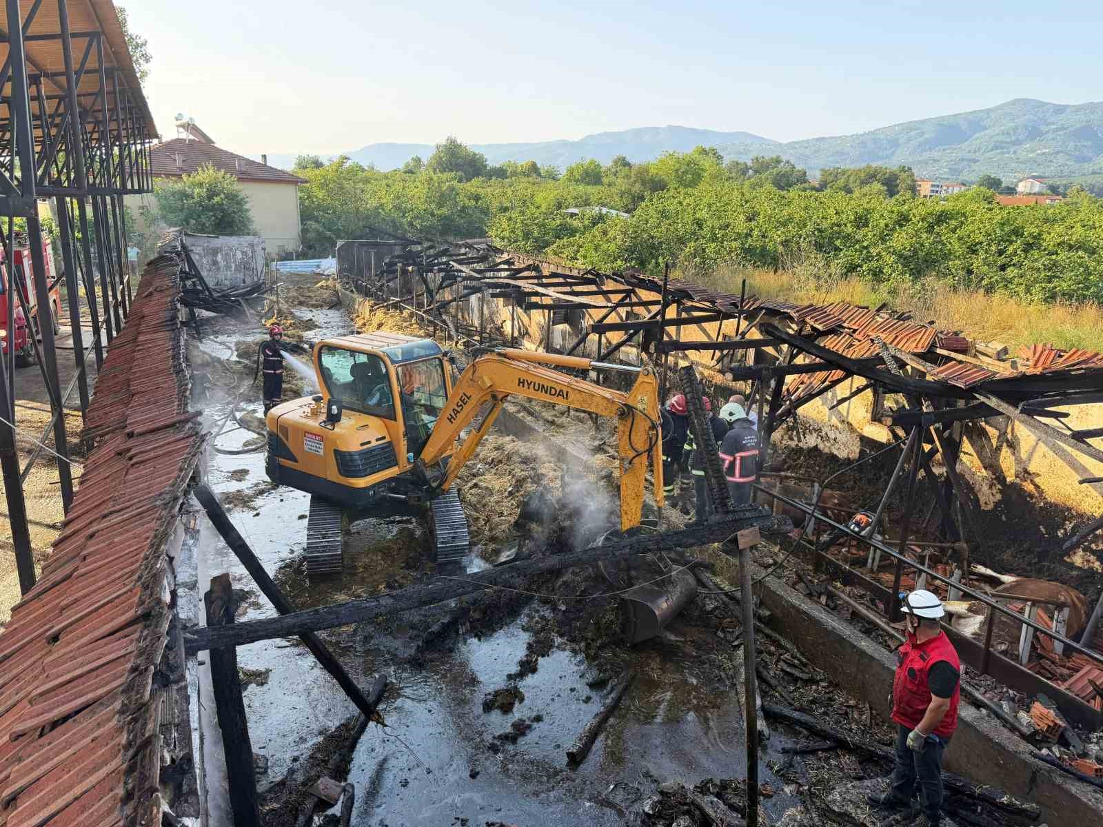 bayrama-iki-gun-kala-yurek-yakan-yangin-kurbanliklar-telef-oldu