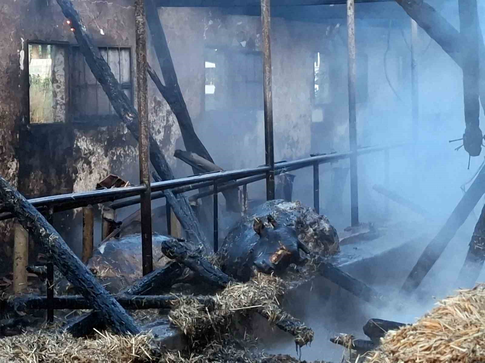 bayrama-iki-gun-kala-yurek-yakan-yangin-kurbanliklar-telef-oldu