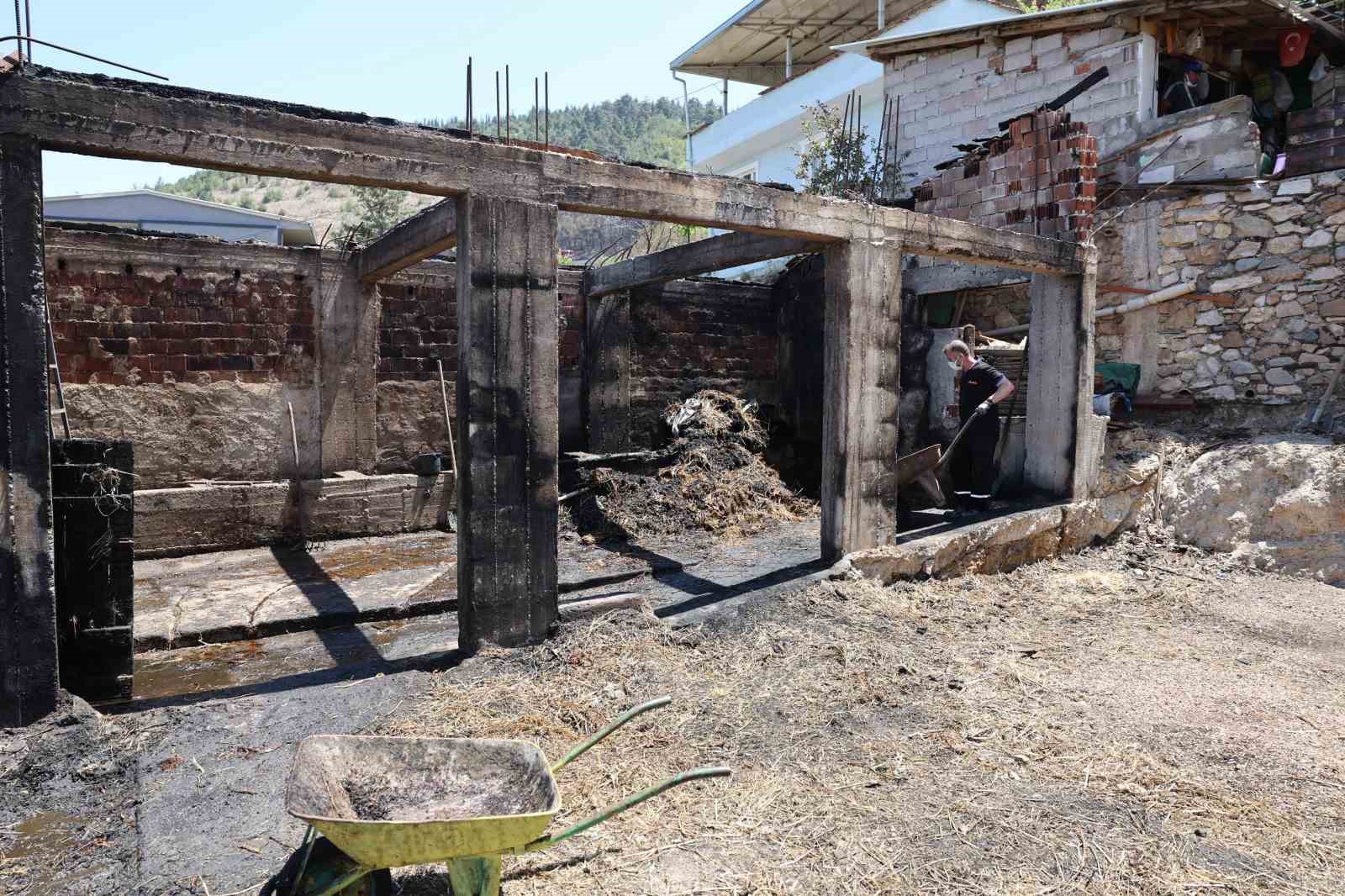 bursada-7-dakikada-bir-yangin-ihbari-geldi