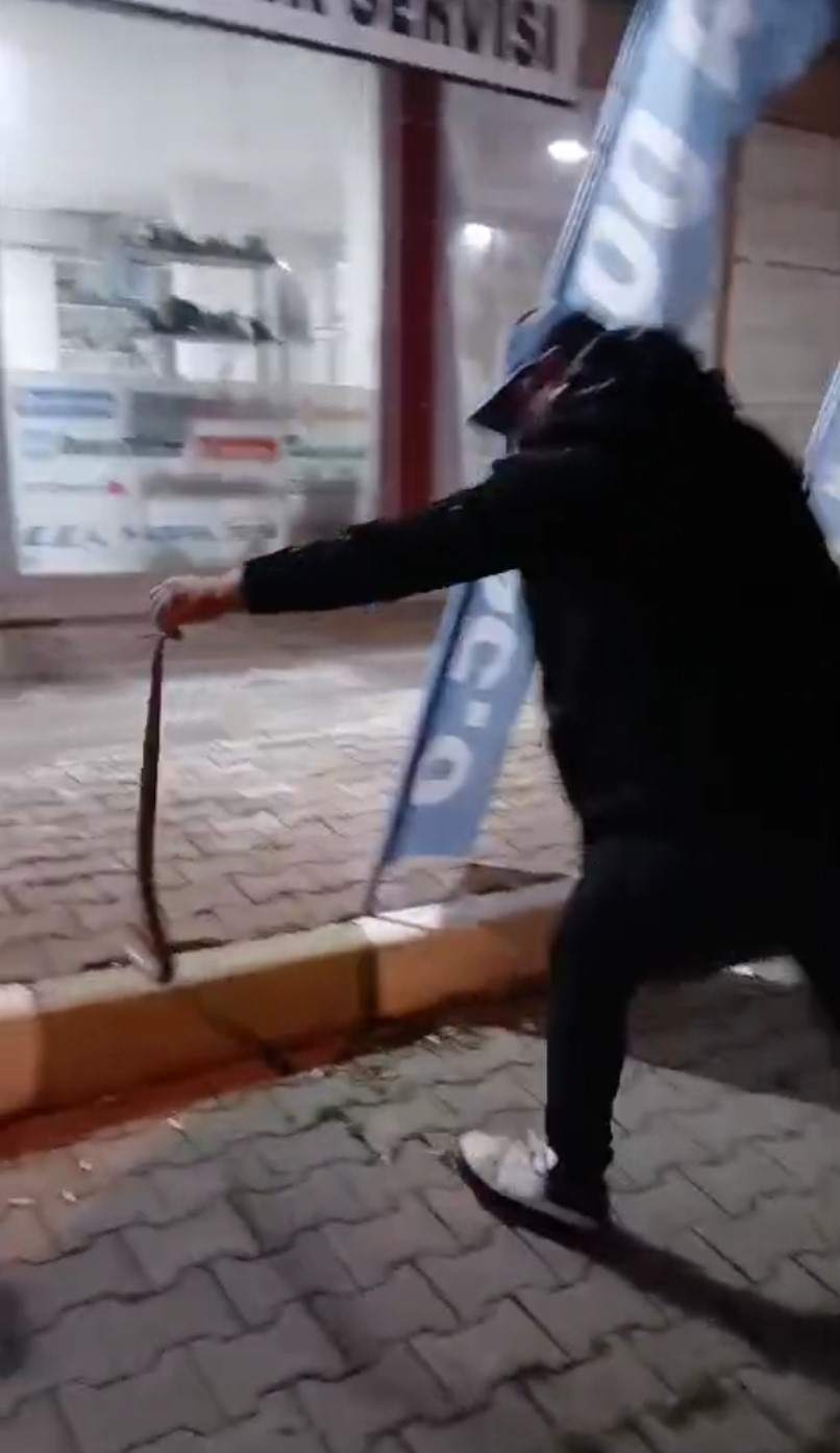cevresindekilerin-saskin-bakislari-arasinda-korkusuzca-1-bucuk-metrelik-yilani-yakaladi