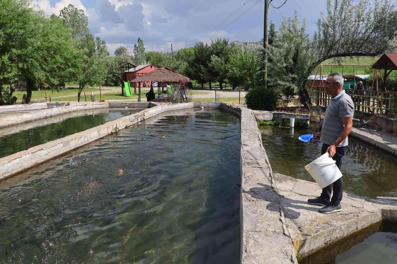denize-kiyisi-olmayan-sivasta-uretilen-baliklar-dunyaya-pazarlaniyor