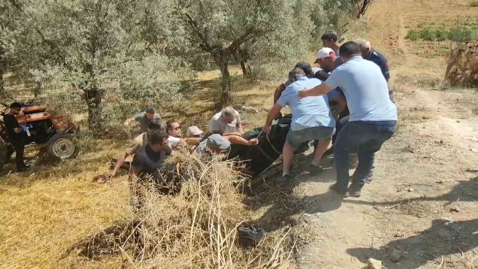 devrilen-traktorun-altinda-kalan-surucu-hayatini-kaybetti