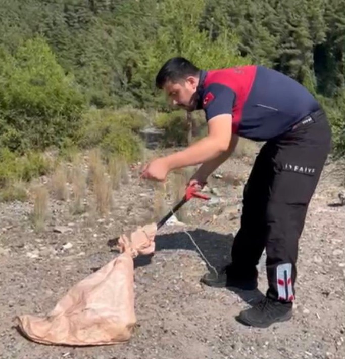 dogal-gaz-kutusuna-giren-yilan-dogal-ortamina-birakildi