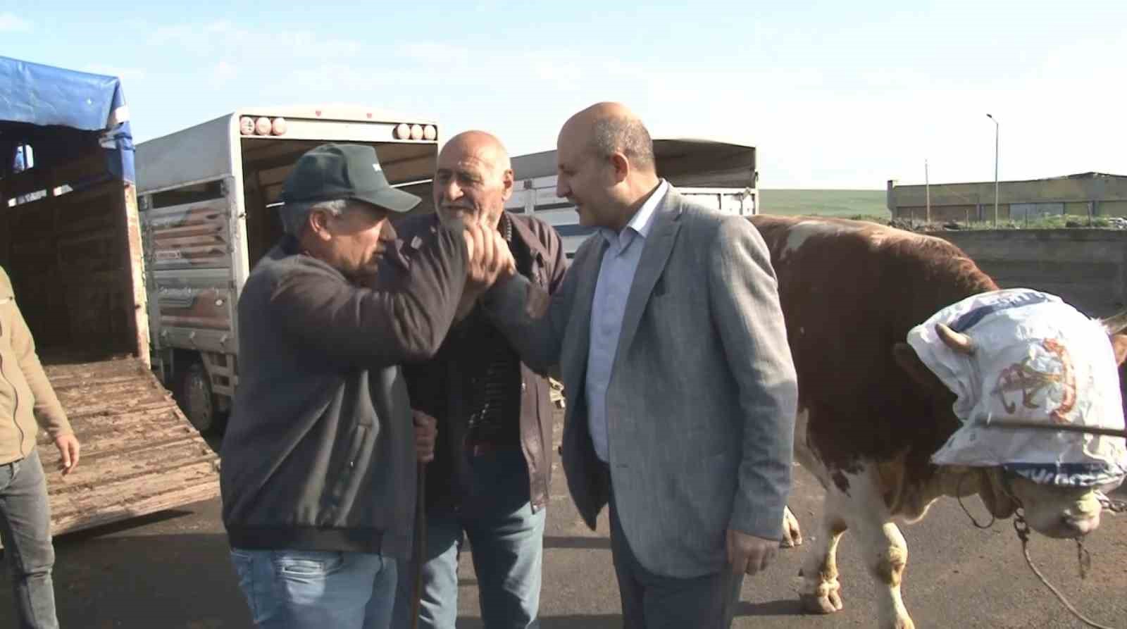 karsta-900-kiloluk-boga-300-bin-tlye-satildi