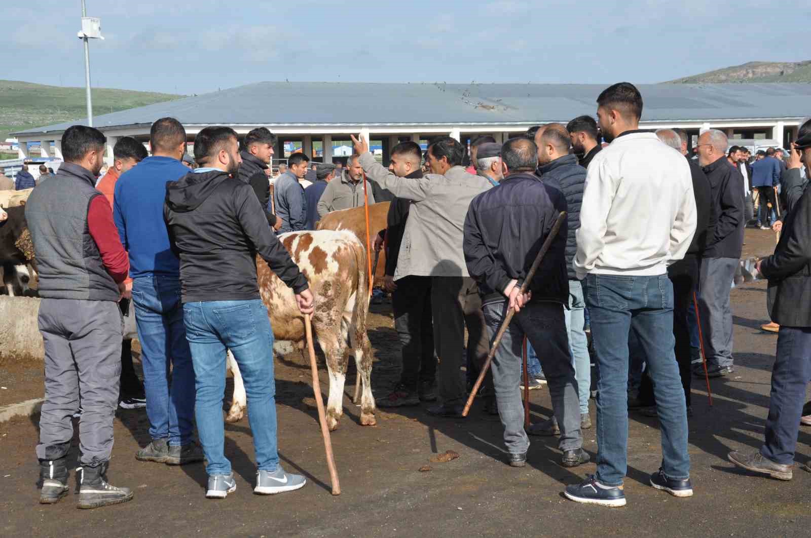 karsta-900-kiloluk-boga-300-bin-tlye-satildi