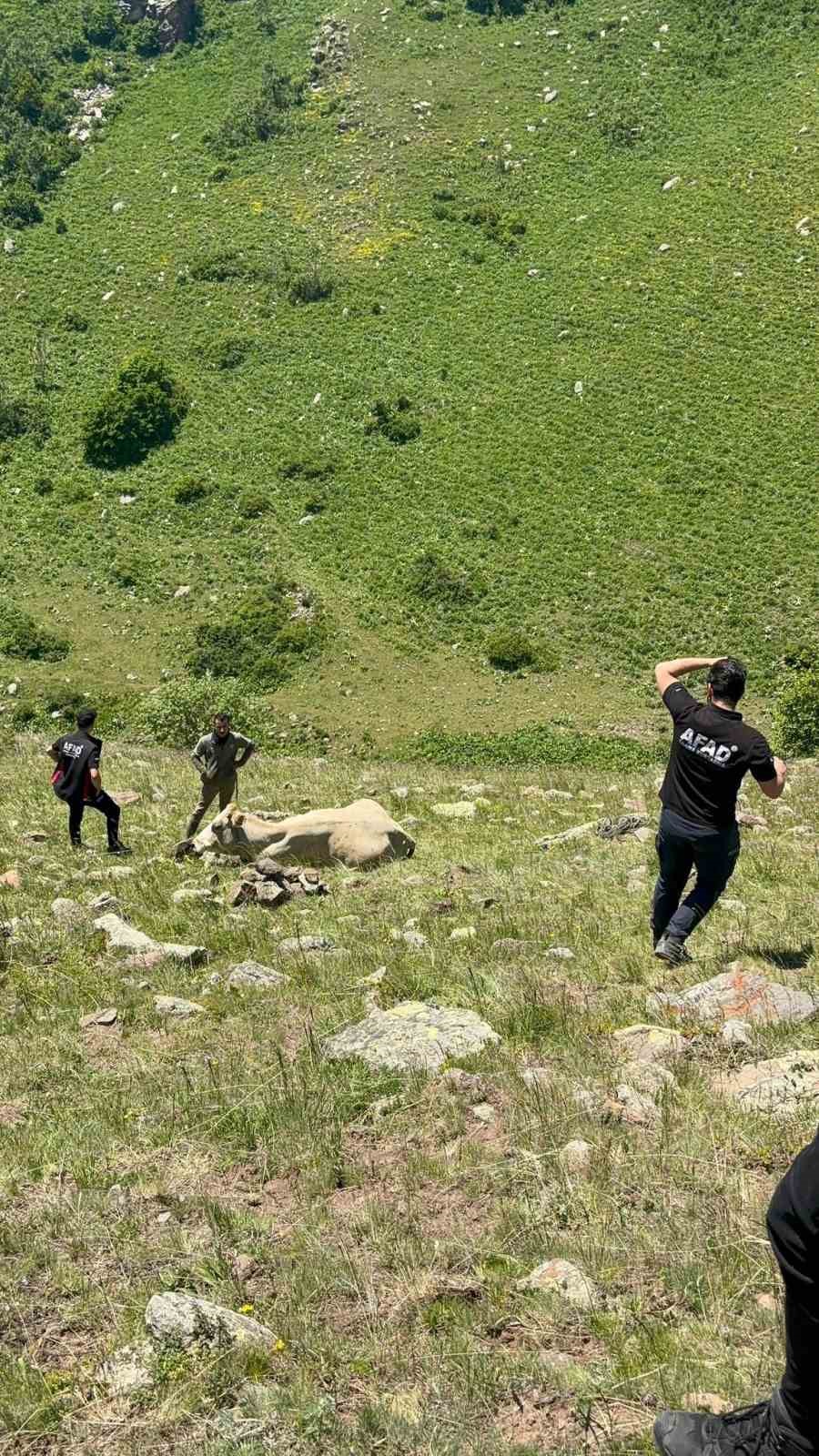 kayaliklarda-mahsur-kalan-inegi-afad-kurtardi