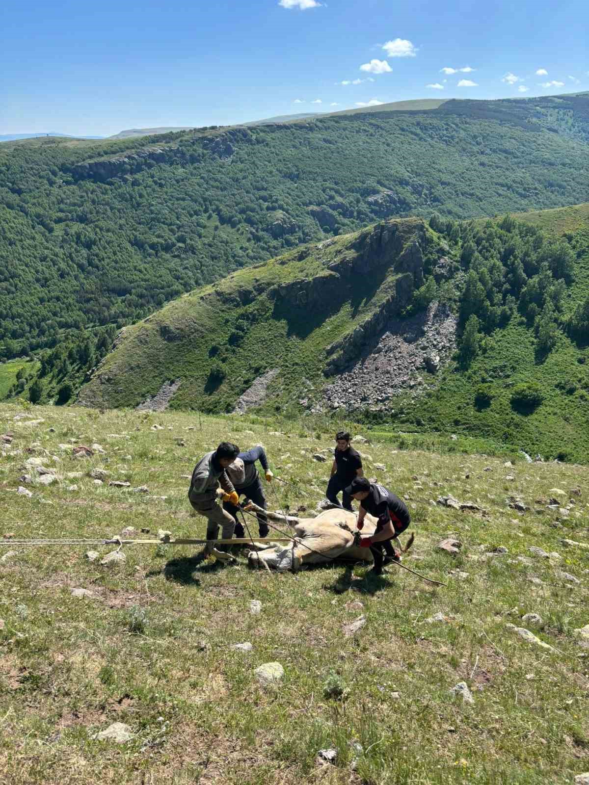 kayaliklarda-mahsur-kalan-inegi-afad-kurtardi