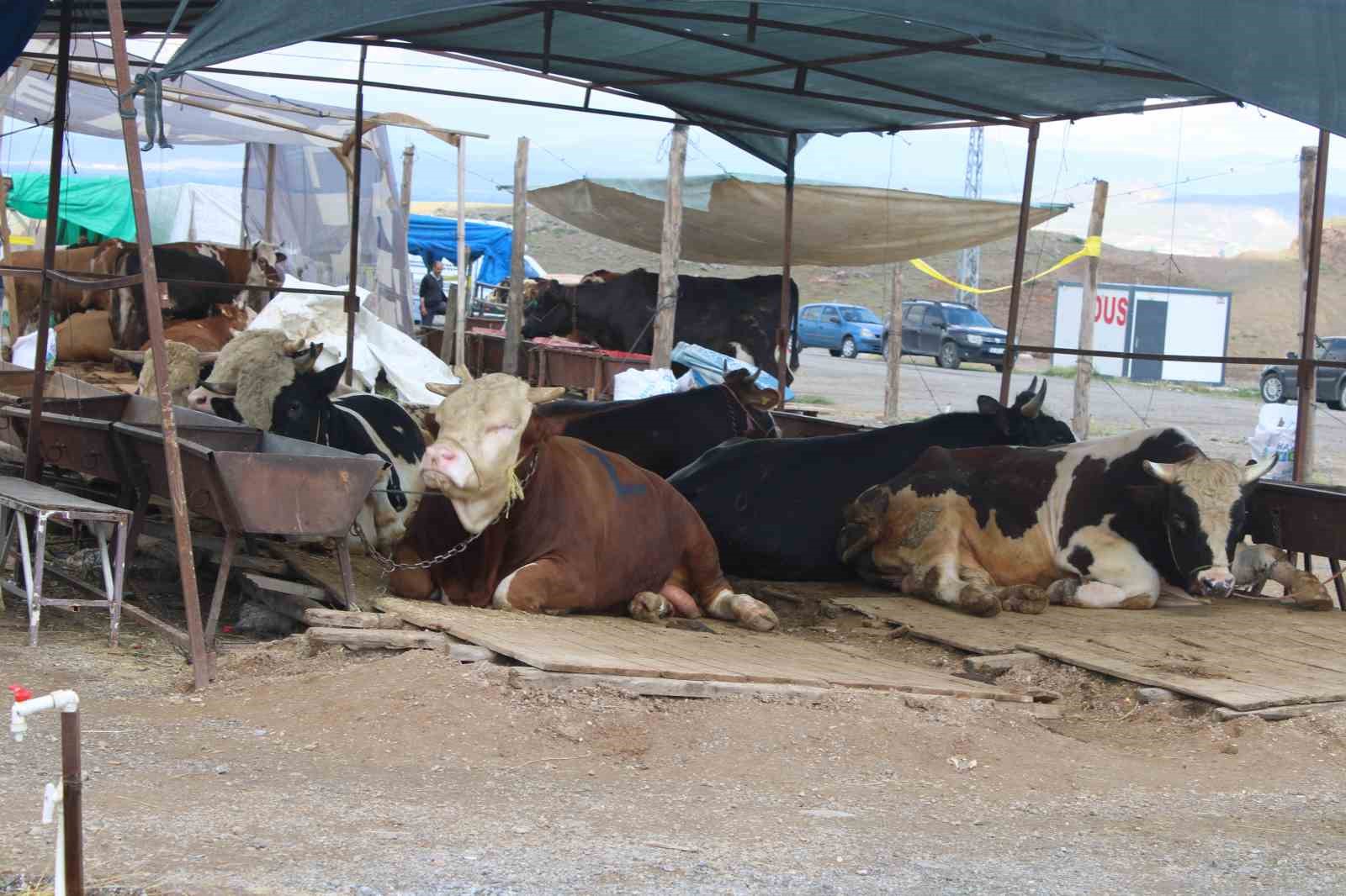 kayseride-kurban-pazarliklar-hareketlendi