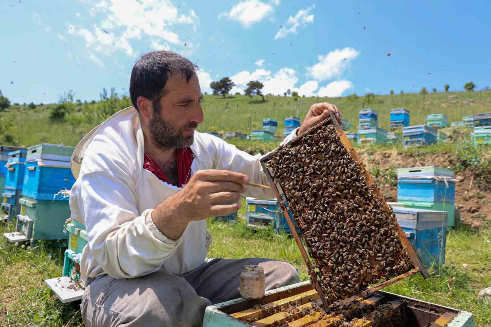 kralice-arinin-omrunu-uzatan-sifa-kaynagi-kilosu-45-bin-liradan-alici-buluyor