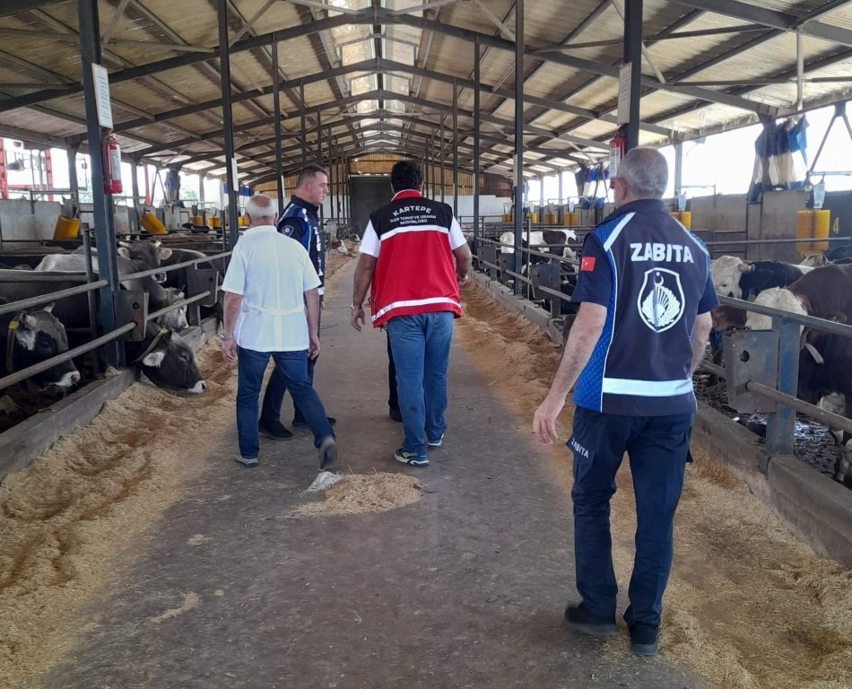 kurbanlarin-satis-ve-kesim-yerleri-mercek-altinda