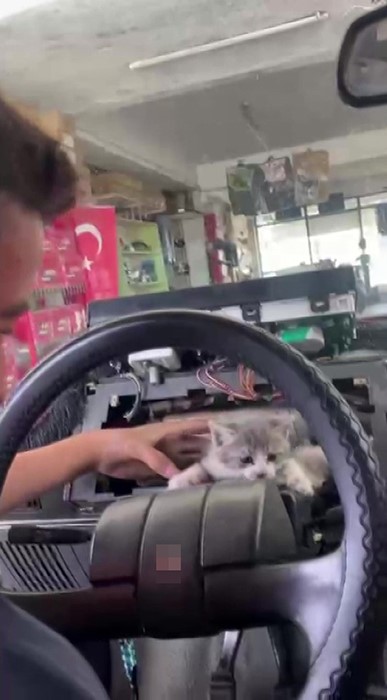 otomobilin-torpidosuna-sikisan-yavru-kedi-ustalarin-seferberligiyle-kurtarildi