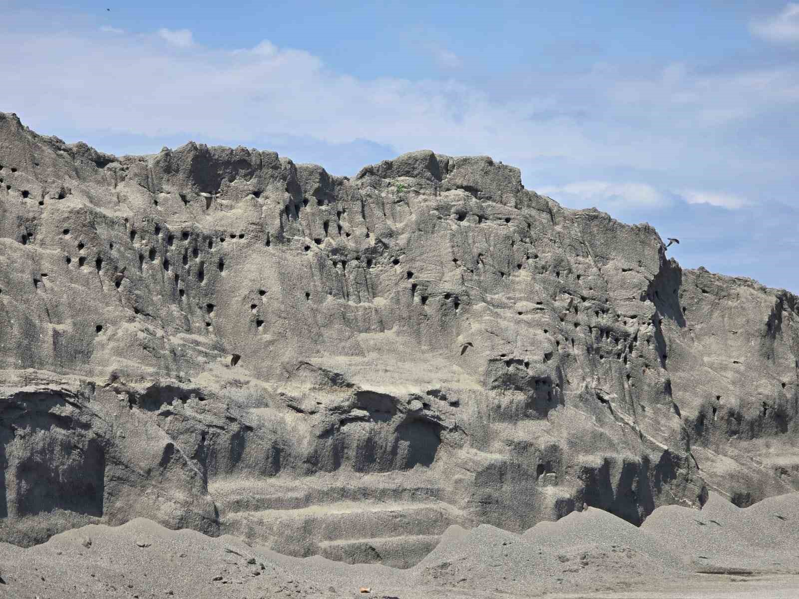 tokatta-kuslarin-kumda-kurdugu-site-dogaseverleri-mest-ediyor