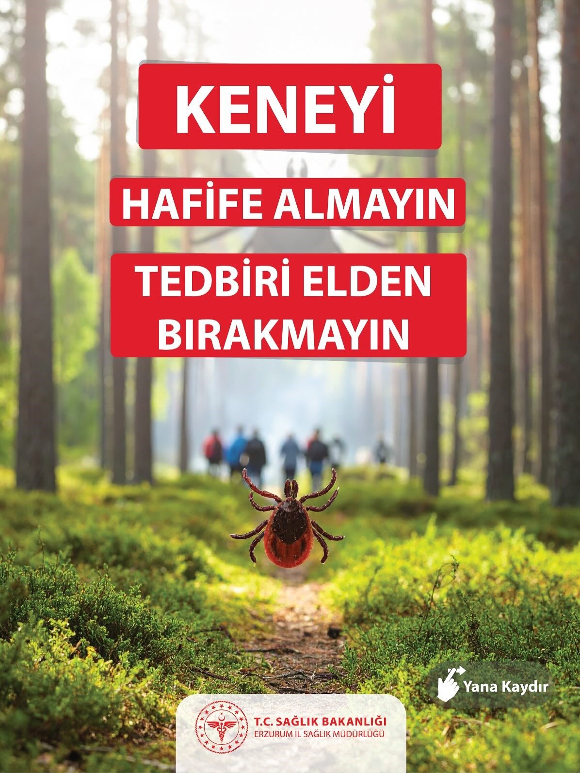 uzmanlardan-kene-uyarisi