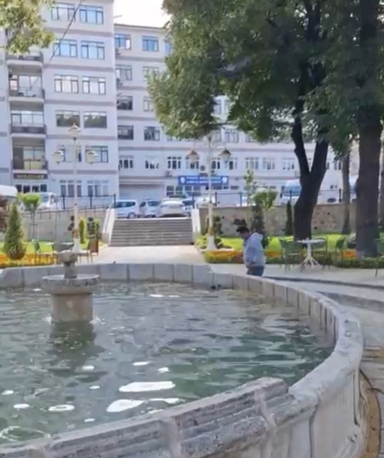 yavru-kargayi-kurtarmak-istedi-diger-karganin-saldirisiyla-hastanelik-oldu