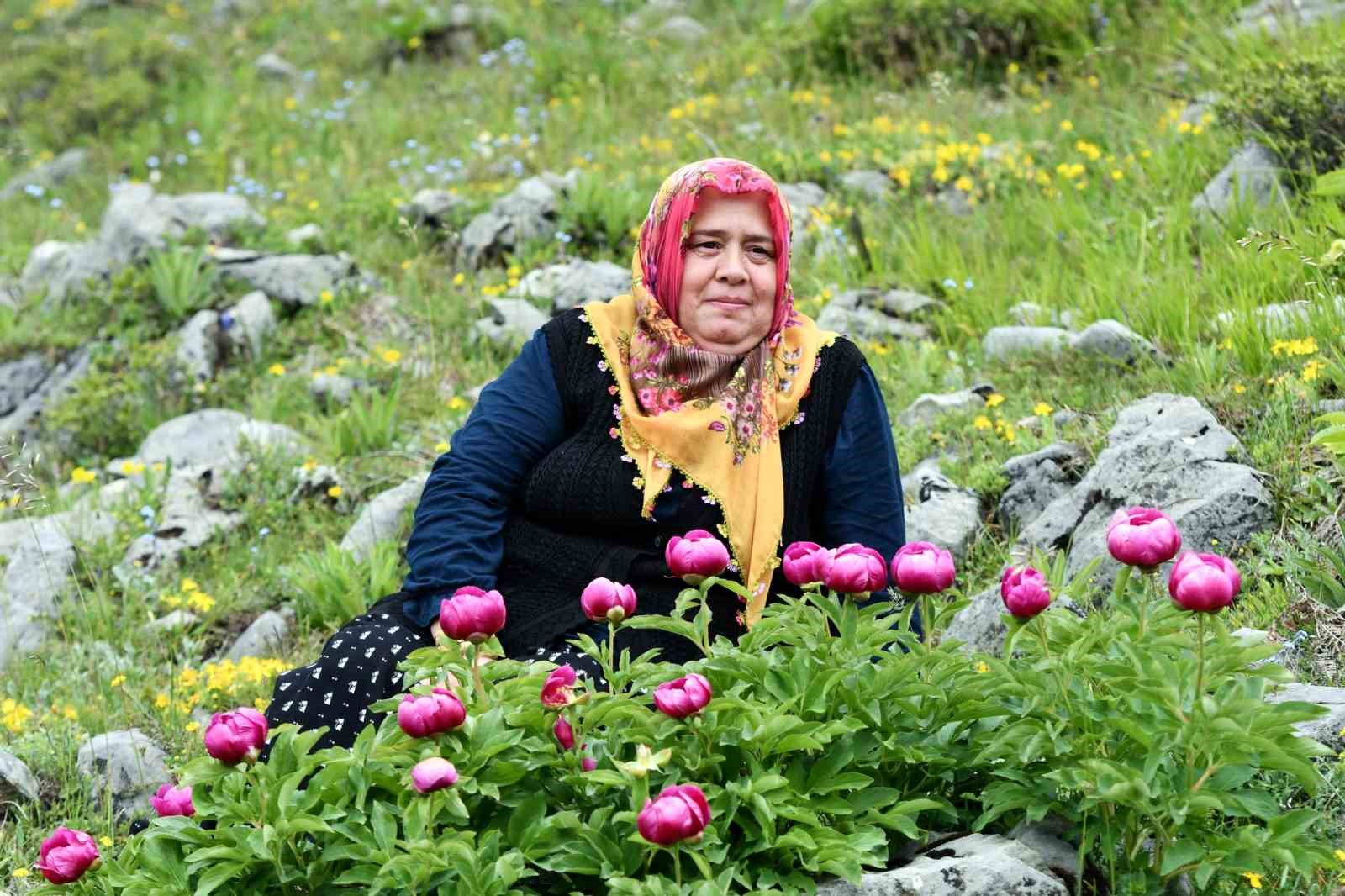 yilda-10-gun-aciyor-bu-cicegi-koparmanin-cezasi-yarim-milyon